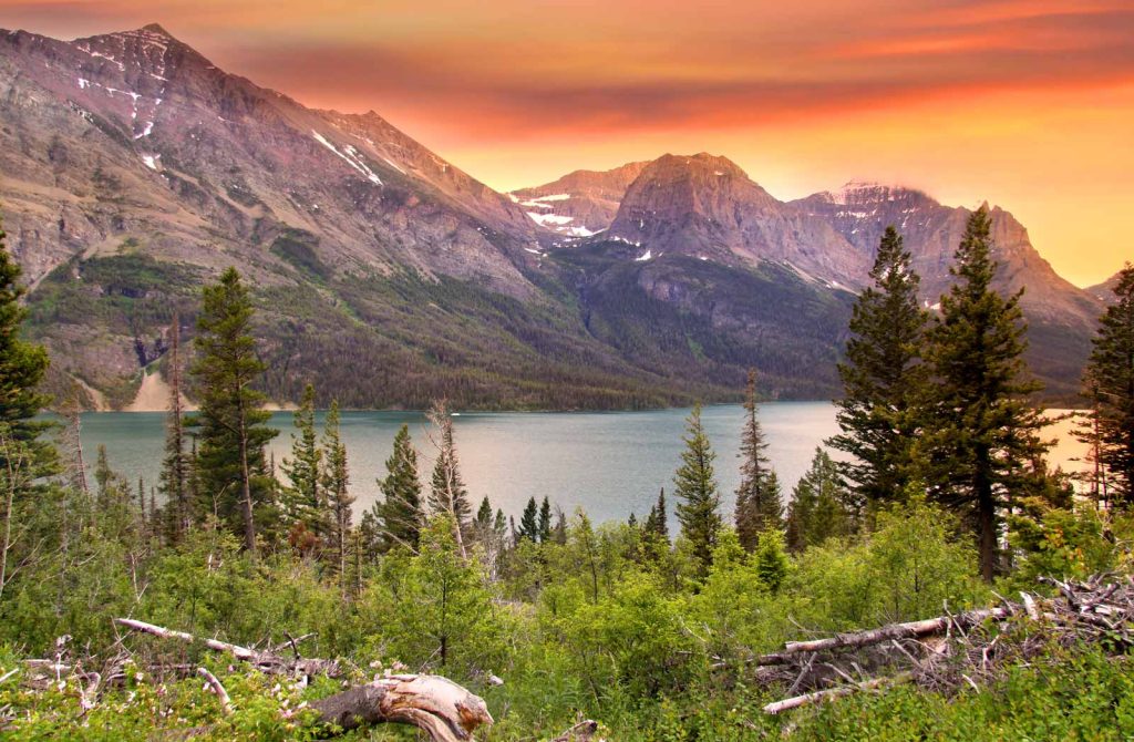 16 Best Glacier National Park Hikes